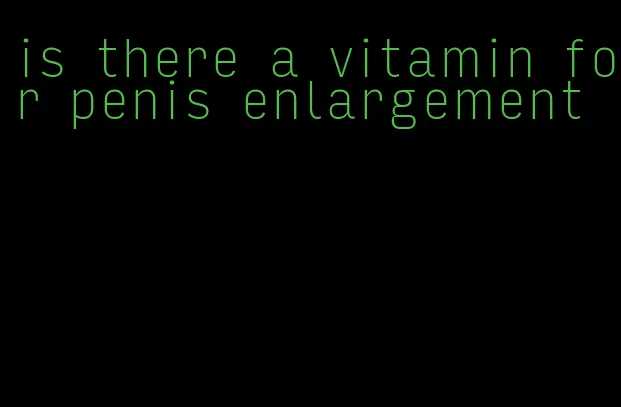 is there a vitamin for penis enlargement