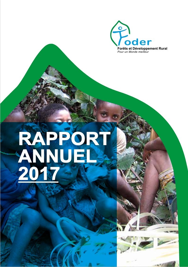 Lire la suite à propos de l’article RAPPORT ANNUEL FODER 2017