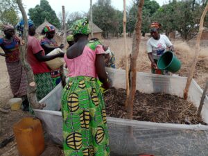 Lire la suite à propos de l’article Femmes rurales et économie verte : Mieux produire et transformer pour saisir les opportunités dans la région du Nord Cameroun et bien au-delà.
