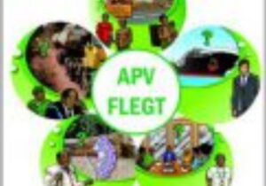 Lire la suite à propos de l’article Projet d’évaluation participative des impacts de l’APV-FLEGT au Cameroun (EPI-FLEGT Cameroun)