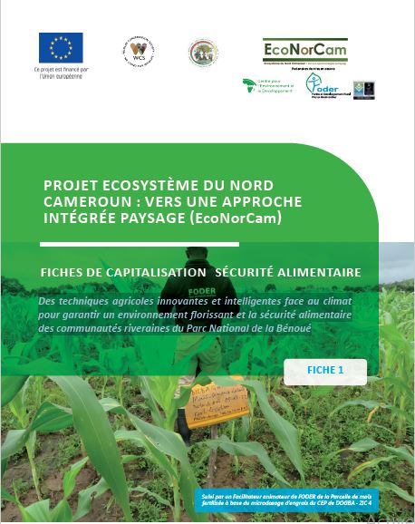 Lire la suite à propos de l’article FICHES DE CAPITALISATION SÉCURITÉ ALIMENTAIRE: Des techniques agricoles innovantes et intelligentes face au climat pour garantir un environnement florissant et la sécurité alimentaire des communautés riveraines du Parc national de la Bénoué