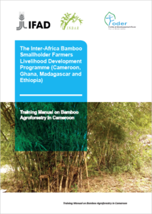 Lire la suite à propos de l’article Training Manual on Bamboo Agroforestry in Cameroon