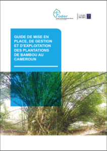Lire la suite à propos de l’article GUIDE DE MISE EN PLACE, DE GESTION ET D’ EXPLOITATION DES PLANTATIONS DE BAMBOU AU CAMEROUN
