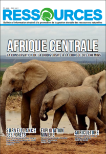 Lire la suite à propos de l’article Afrique centrale: La conservation de la biodiversité à la croisée des chemins