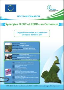 Lire la suite à propos de l’article Synergies FLEGT et REDD+ au Cameroun