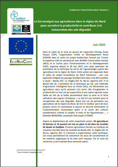 Lire la suite à propos de l’article EcoNorcam I Note d’information I Numéro 1: Le Zaï enseigné aux agriculteurs dans la région du Nord pour accroitre la productivité et contribuer à la restauration des sols dégradés