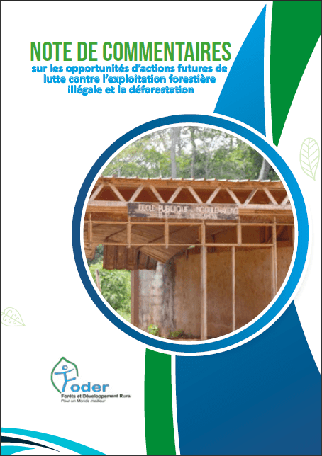 Lire la suite à propos de l’article Commentary on opportunities for future action to combat illegal logging and deforestation