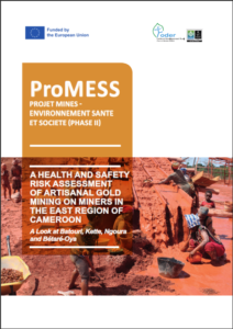 Lire la suite à propos de l’article Evaluation des risques de l’exploitation artisanale de l’or sur la santé et la sécurité des artisans miniers de la région de l’Est Cameroun.