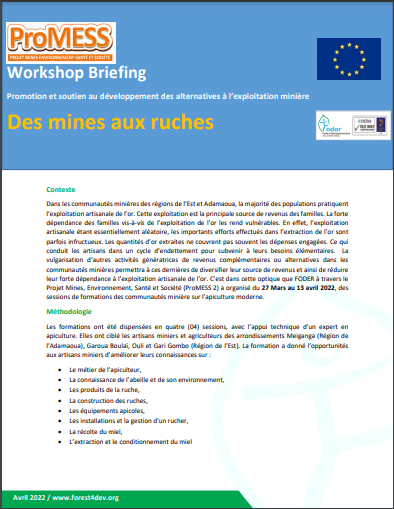 Lire la suite à propos de l’article Workshop Briefing: Des mines aux ruches