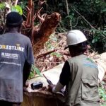 Renforcement de la Surveillance Forestière : Les leaders communautaires équipés pour dénoncer en temps réel les illégalités forestières