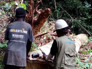 Lire la suite à propos de l’article Renforcement de la Surveillance Forestière : Les leaders communautaires équipés pour dénoncer en temps réel les illégalités forestières