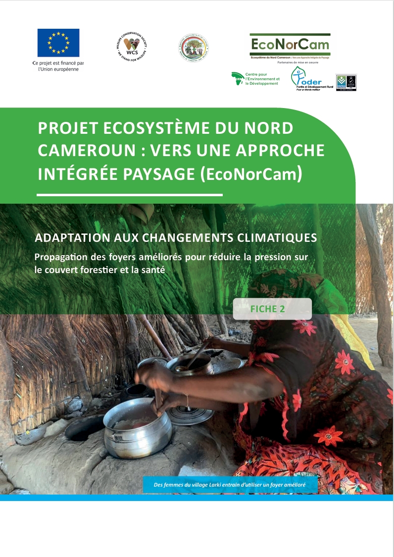 Lire la suite à propos de l’article ADAPTATION AUX CHANGEMENTS CLIMATIQUES Propagation des foyers améliorés pour réduire la pression sur le couvert forestier et la santé