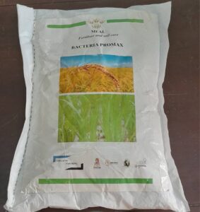 Lire la suite à propos de l’article Révolution dans l’agriculture : Une nouvelle formulation de biofertilisant spécifique au riz promet des récoltes abondantes et durables