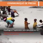 Orpaillage et l’exploitation semi-mécanisée de l’or : l’hémorragie silencieuse de la biodiversité dans leseptentrion du Cameroun