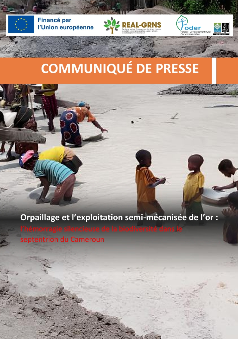 Lire la suite à propos de l’article Orpaillage et l’exploitation semi-mécanisée de l’or : l’hémorragie silencieuse de la biodiversité dans leseptentrion du Cameroun