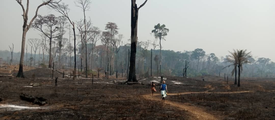 Lire la suite à propos de l’article APPEL A CANDIDATURES Pour le recrutement d’(1) un(e) stagiaire