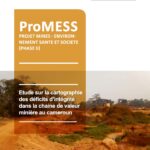 Etude sur la cartographiedes déficits d’intégritédans la chaine de valeurminière au cameroun ProMESS (PHASE II)