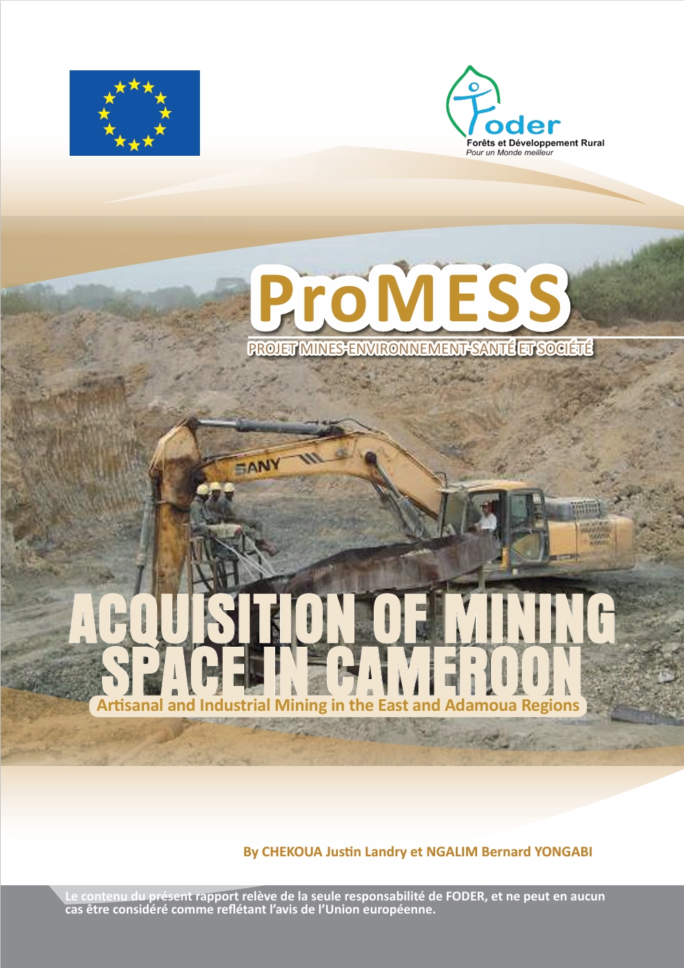 Lire la suite à propos de l’article ACQUISITION OF MINING SPACE IN CAMEROON