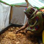 WhatsApp Image 2025-09-25 à 09.51.52_cf5c75e5