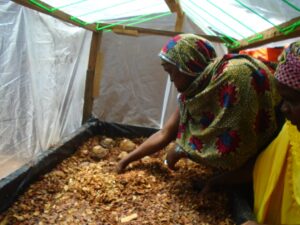 Lire la suite à propos de l’article Vulgariser les alternatives à l’exploitation minière : le pari gagnant de FODER