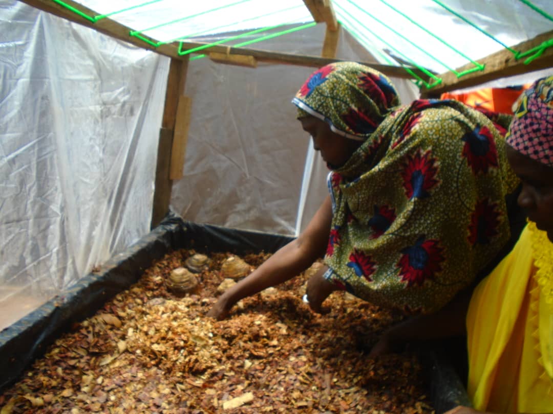 Lire la suite à propos de l’article Vulgariser les alternatives à l’exploitation minière : le pari gagnant de FODER