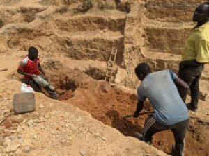 Lire la suite à propos de l’article Exploitation minière artisanale et conservation : alerte sur le Parc National de la Bénoué