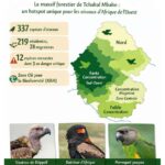 337 espèces d’oiseaux dans le massif forestier de Tchabal Mbabo