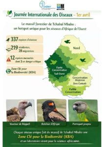 Lire la suite à propos de l’article 337 espèces d’oiseaux dans le massif forestier de Tchabal Mbabo