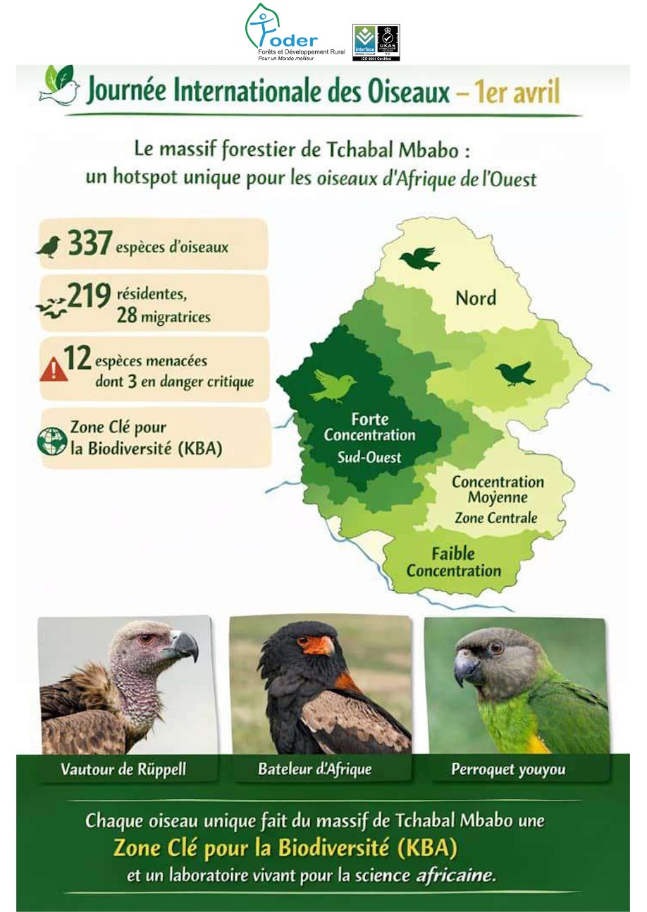 Lire la suite à propos de l’article 337 espèces d’oiseaux dans le massif forestier de Tchabal Mbabo