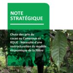Chute des prix du cacao au Cameroun et RDUE : Nécessité d’une restructuration du modèle économique de la filière