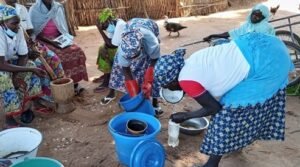 Lire la suite à propos de l’article 219 producteurs formés à la fabrication de biopesticides dans le Nord-Cameroun : un pas vers une agriculture plus verte autour du Parc National de la Bénoué