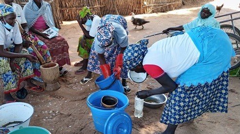 Lire la suite à propos de l’article 219 producteurs formés à la fabrication de biopesticides dans le Nord-Cameroun : un pas vers une agriculture plus verte autour du Parc National de la Bénoué