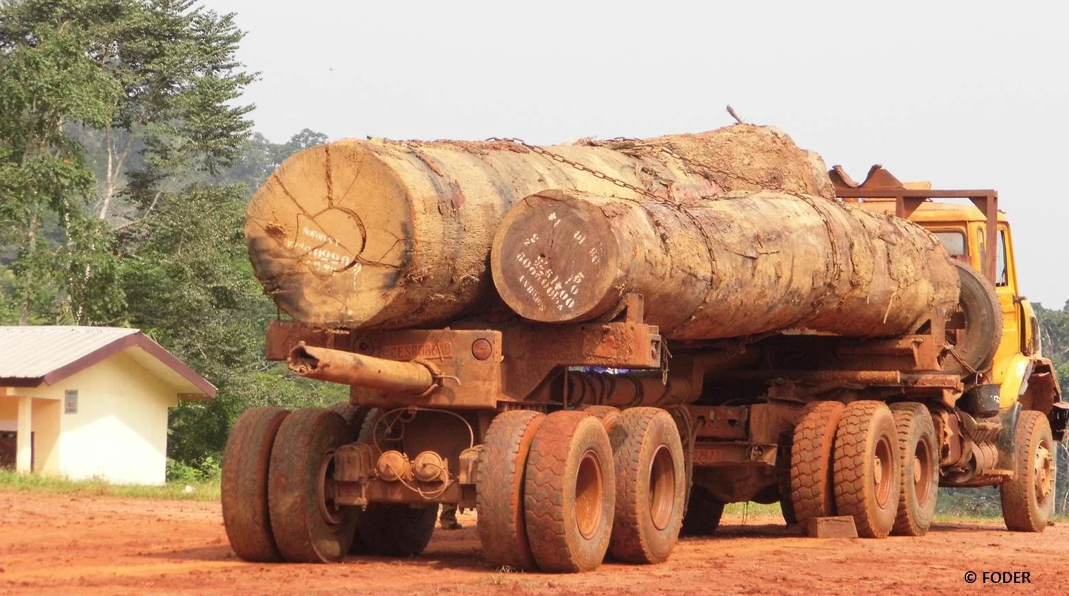 Lire la suite à propos de l’article Réussir l&rsquo;interdiction des exportations de bois en grumes pour garantir la transformation structurelle de la filière bois du Cameroun à l&rsquo;horizon 2028