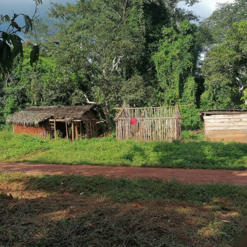 REVENUS FORESTIERS ET DEVELOPPEMENT LOCAL: 30 % des revenus issus de l’exploitation de la forêt communale d’abong-mbang en 2018 : quelle gestion pour quel impact sur le developpement local et pour quel niveau d’inclusion ?