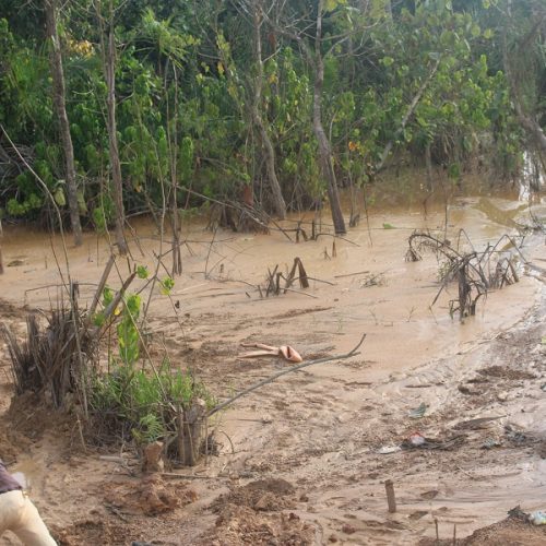 Les exploitants miniers et les artisans miniers détruisent la rivière Mbil (région de l’Est Cameroun ) avec du mercure et d’autres substances chimiques.